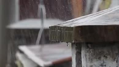 唯美下雨升格实拍视频的预览图